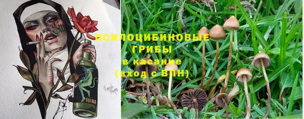 экстази Волосово
